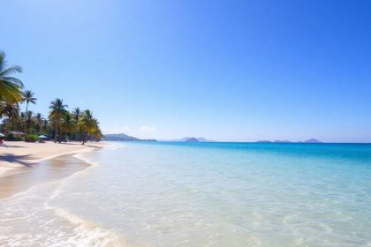 Słoneczna plaża z palmami i turkusową wodą.