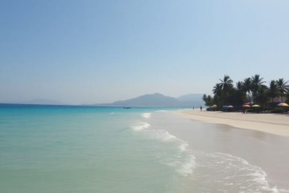 Piękna plaża z turkusową wodą i palmami.