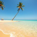 Słoneczna plaża z turkusową wodą i palmami.
