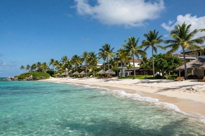 Plaża z palmami i luksusowym hotelem.