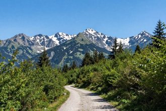 Góry i las w słoneczny dzień z Karpacza.