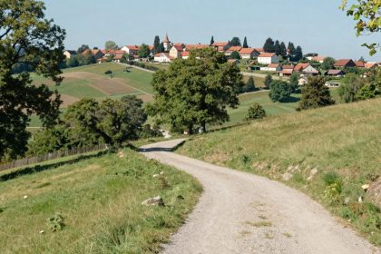 Krajobraz z drogą do wioski i zielonymi drzewami.